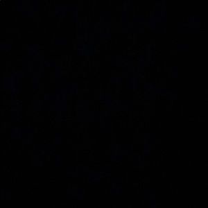 Meet your Posher, Kyra